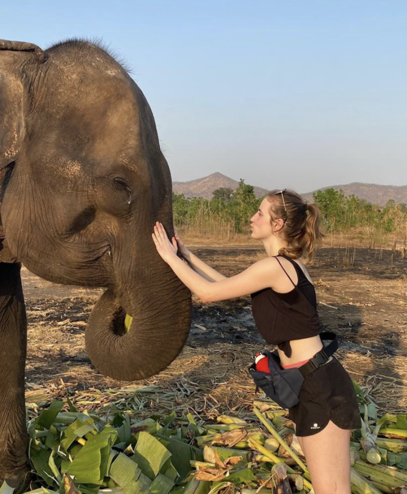 voyage éco responsable réserve éléphants